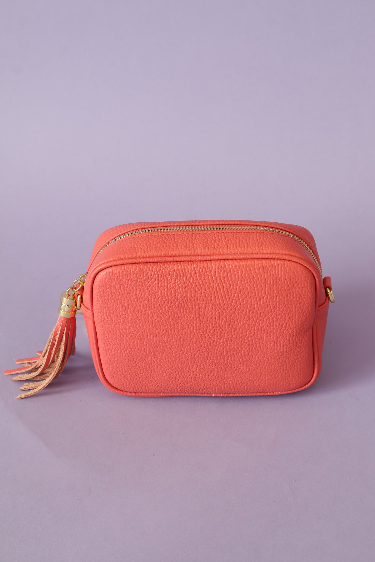 Remi Handbag in Coral