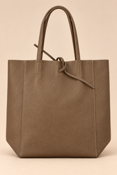 Liz Leather Tote Bag in Tan