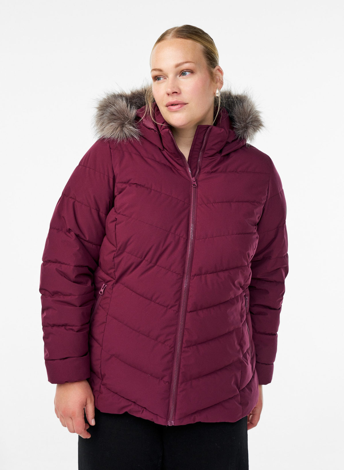 Zizzi Julia Jacket in Wine