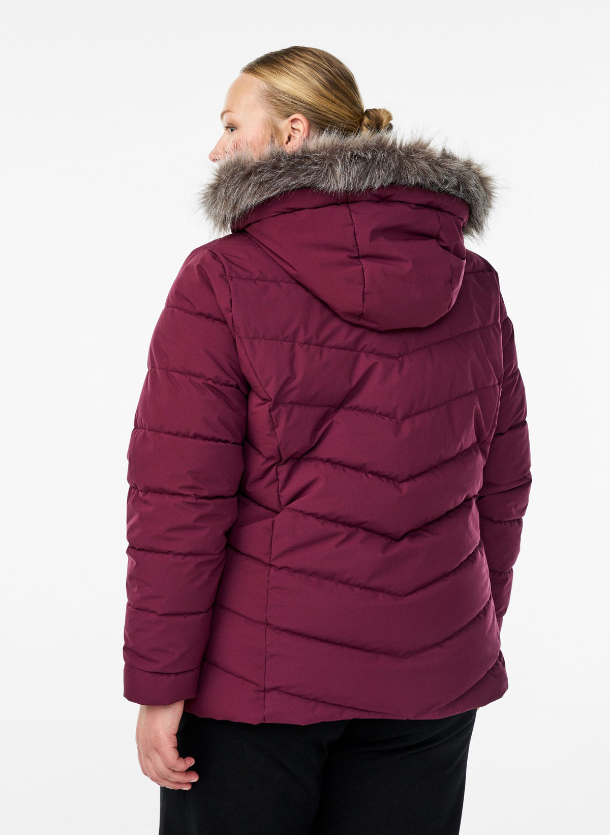 Zizzi Julia Jacket in Wine