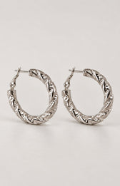 Astraea Earrings in Silver
