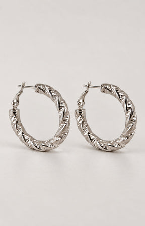 Astraea Earrings in Silver