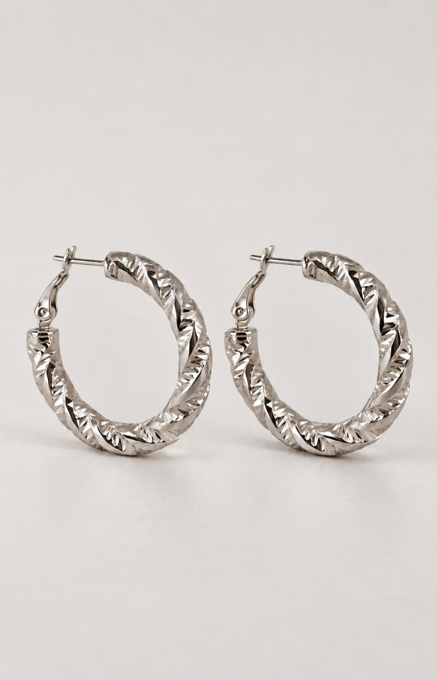 Astraea Earrings in Silver