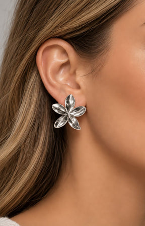 Calliope Earrings in Silver 