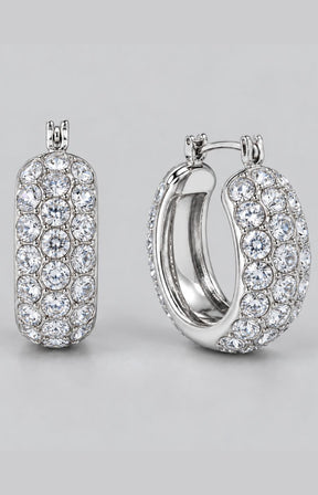Elara Earrings in Silver 