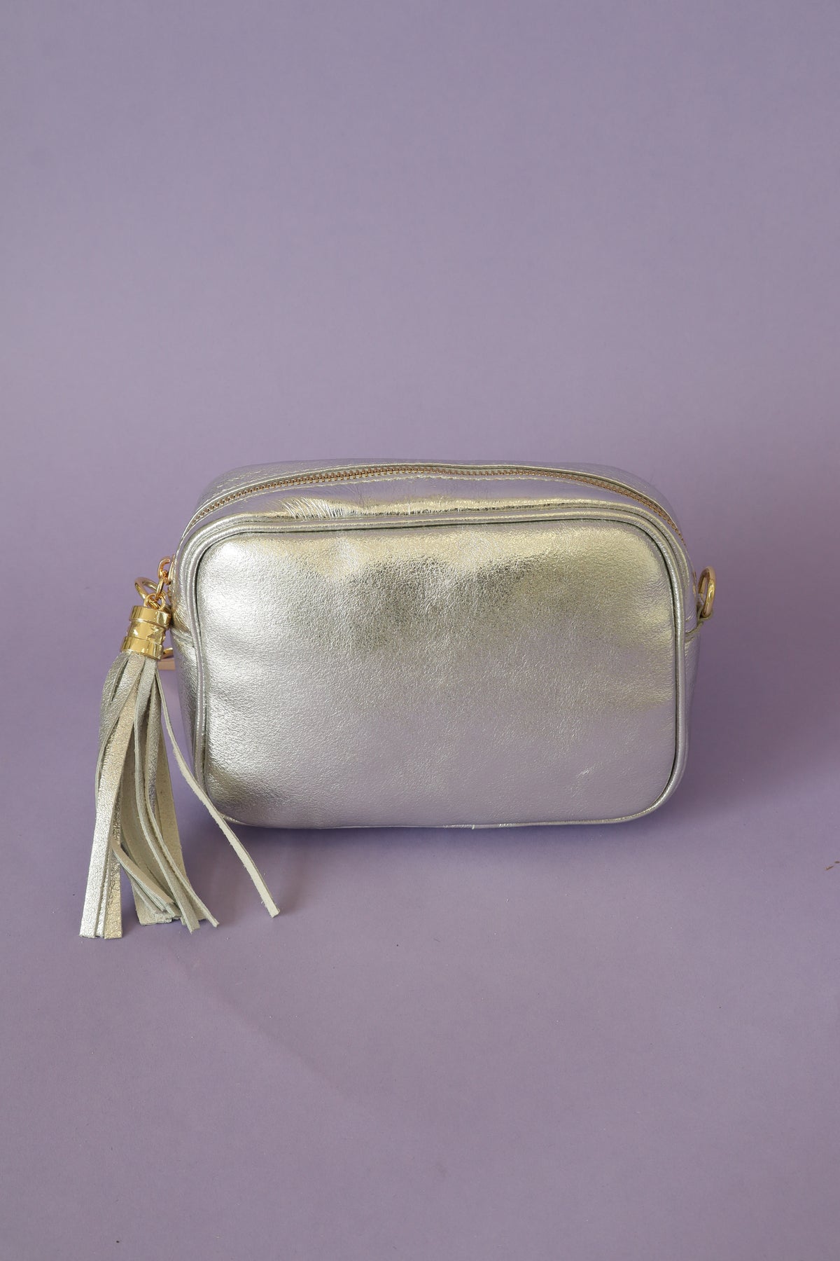 Remi Handbag in Silver