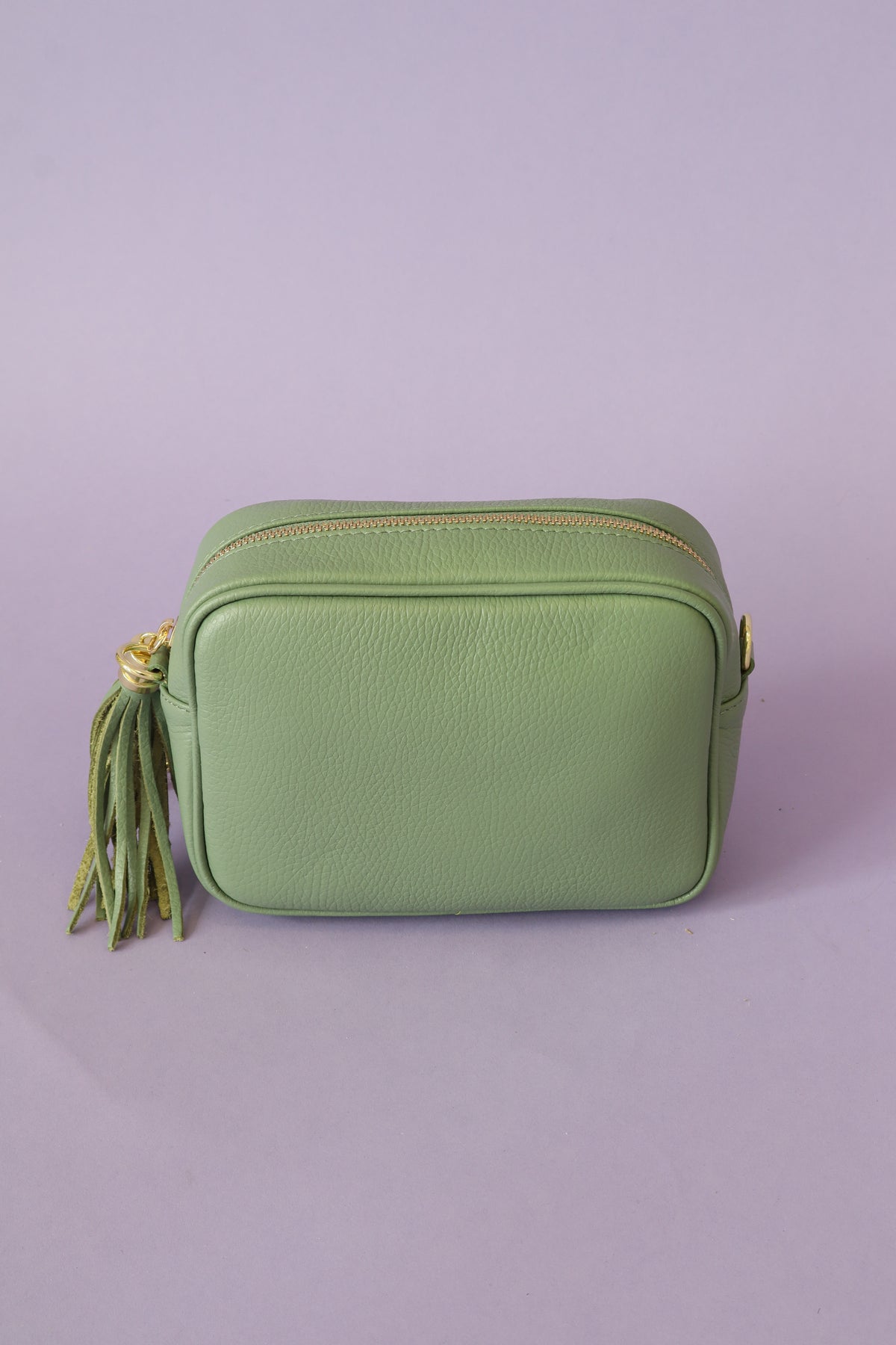 Remi Handbag in Green