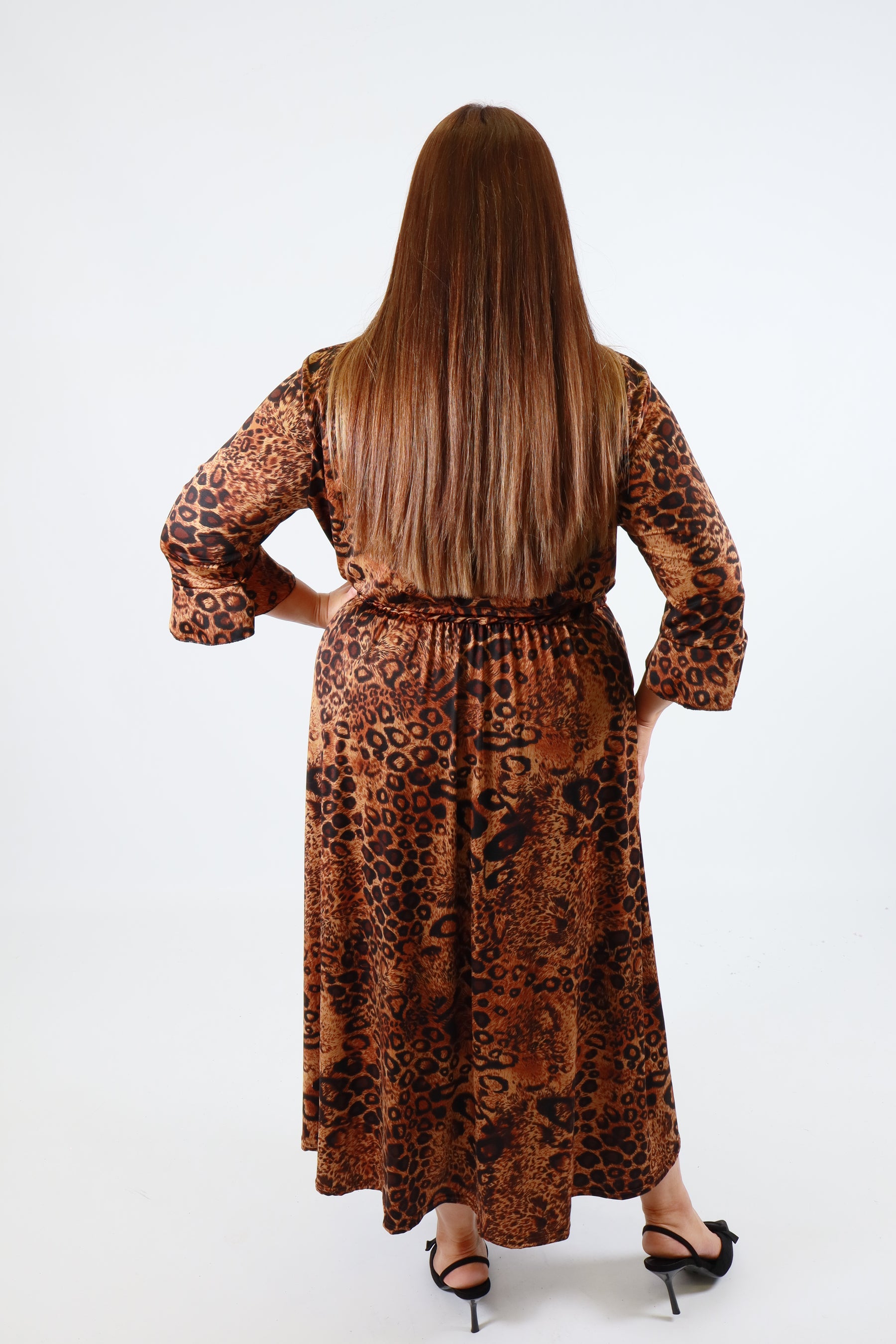 Dani Dress in Leopard