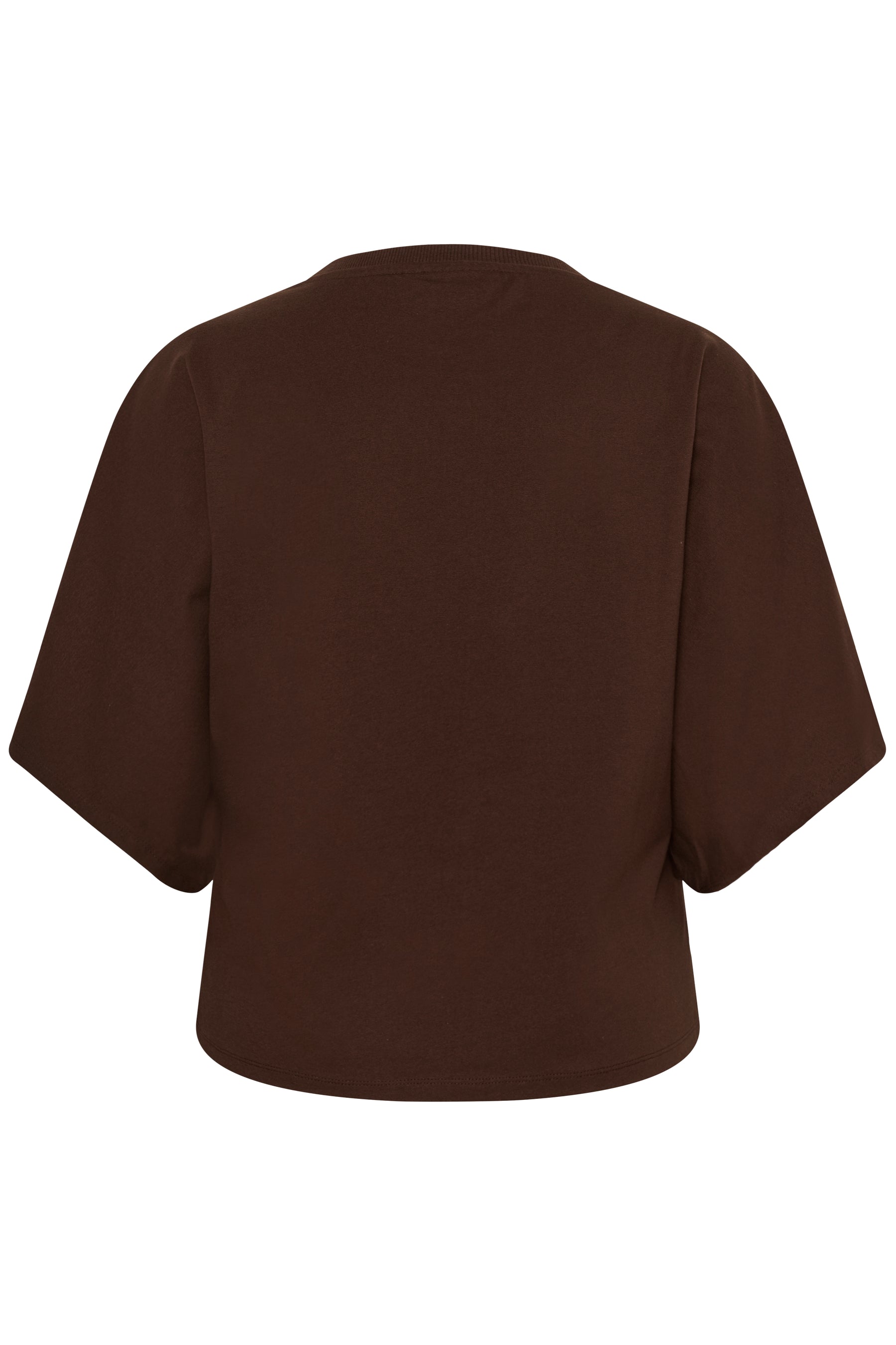 Kaffe Curve Stormi T-Shirt in Brown 