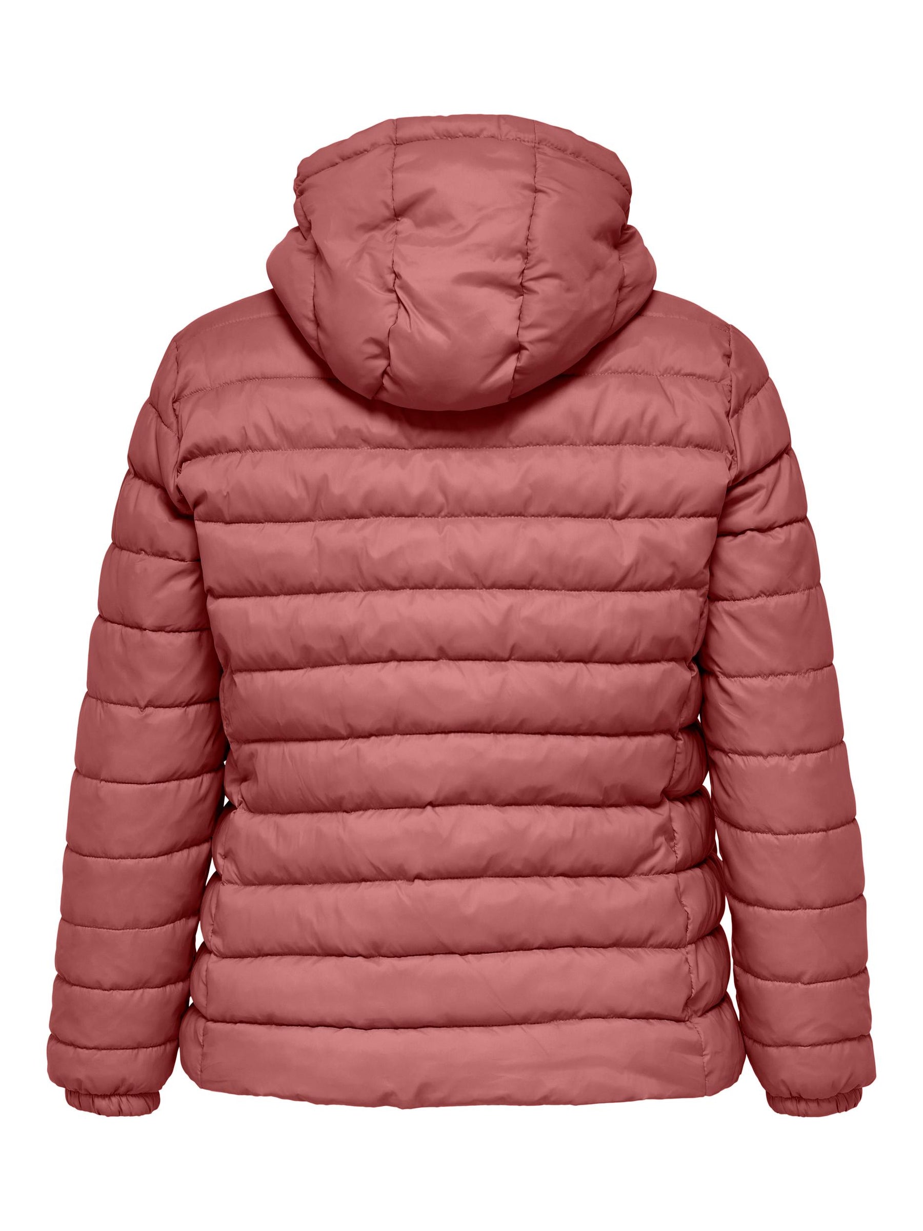 Only Carmakoma Jacket in Rose