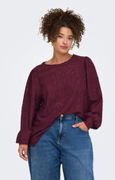 Only Carmakoma Hellen Blouse in Fig 