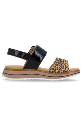Remonte Sandal in Black Leopard