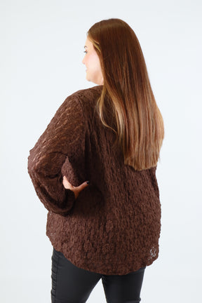 Roxy Lace Top in Brown