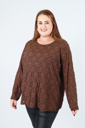 Roxy Lace Top in Brown