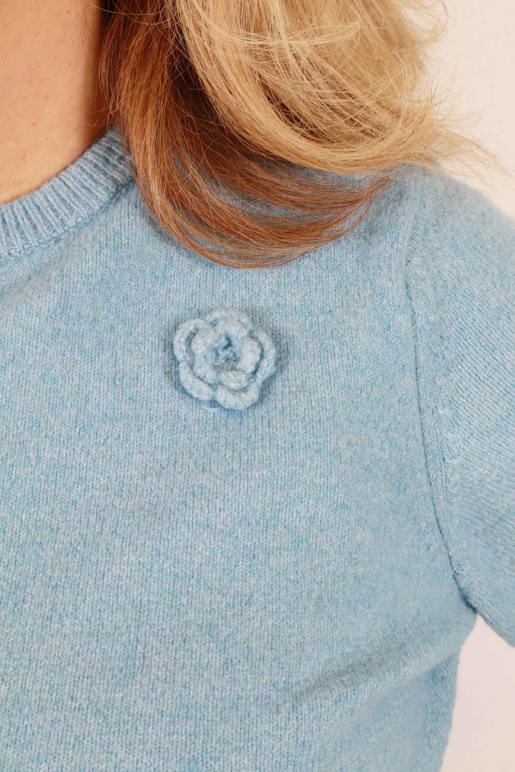 Vero Moda Curve Rose Knit Jumper in Blue