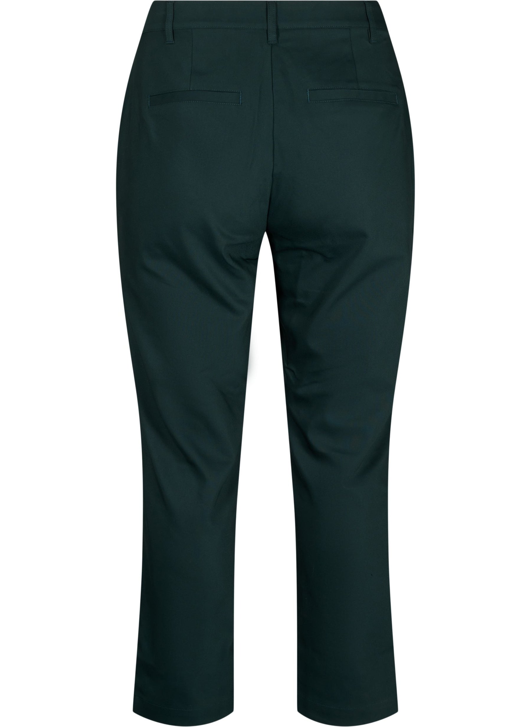 Zizzi Edith Trousers in Green