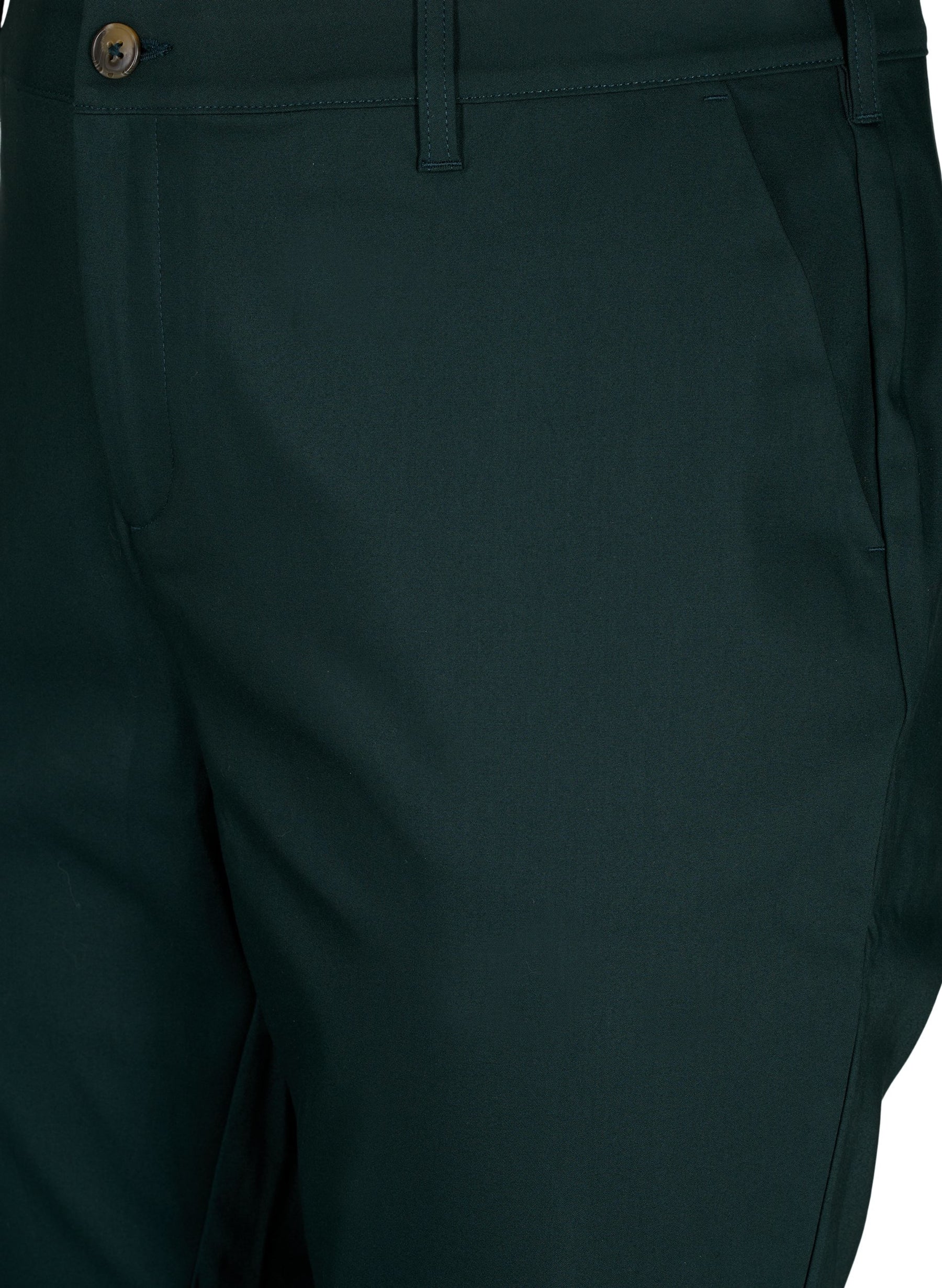 Zizzi Edith Trousers in Green