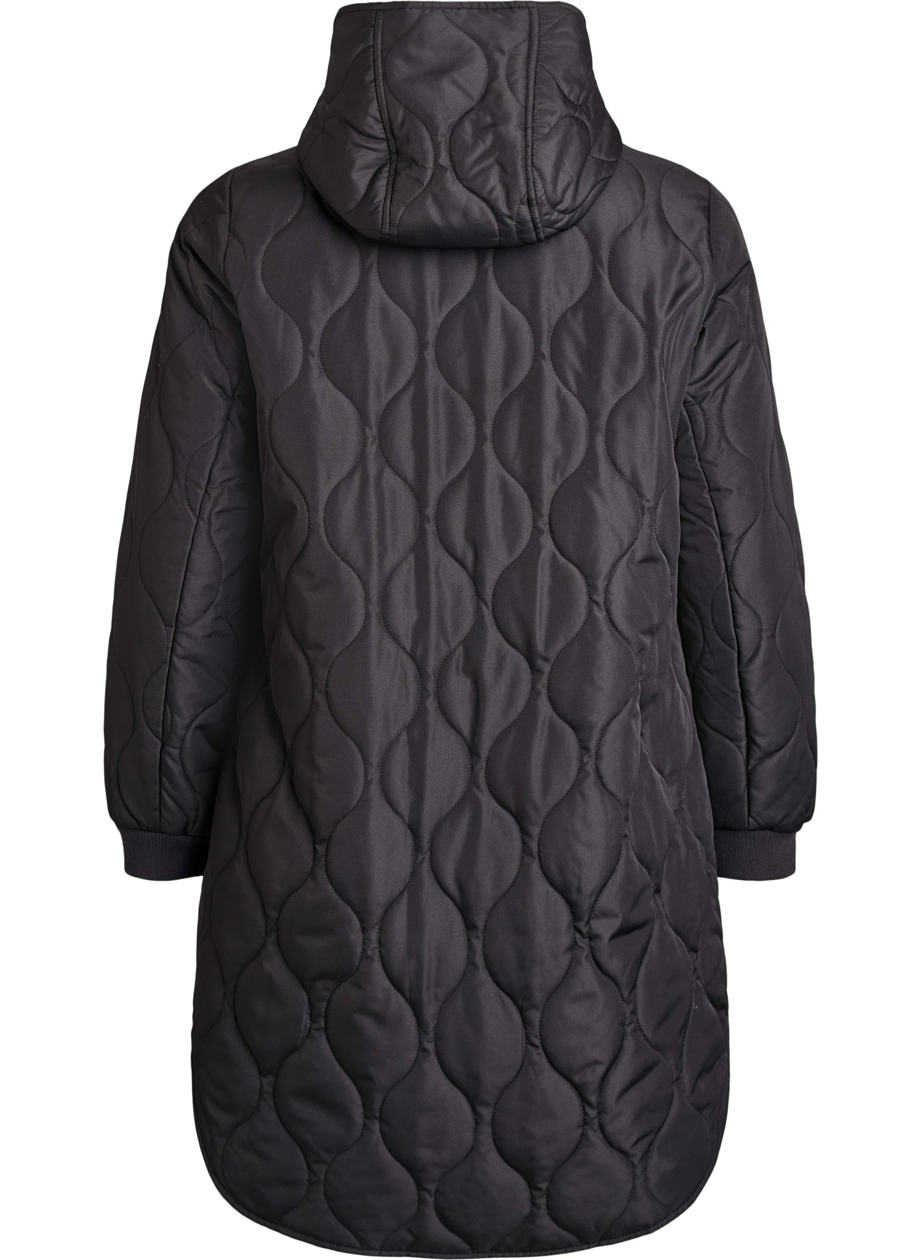 Zizzi Bibi Coat in Black