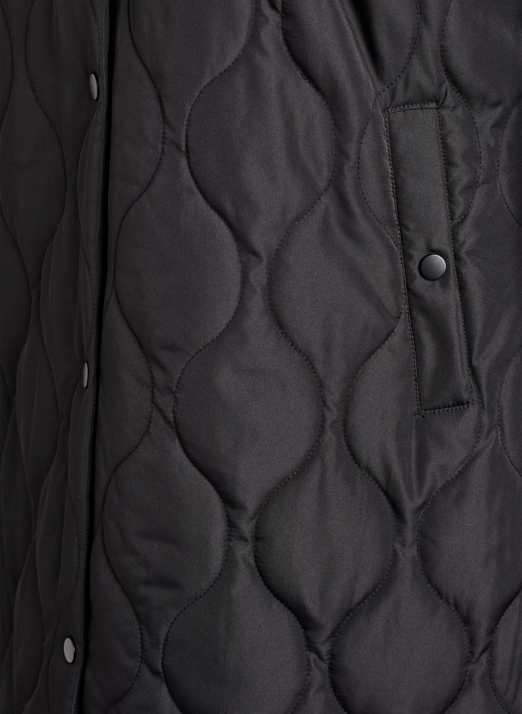 Zizzi Bibi Coat in Black