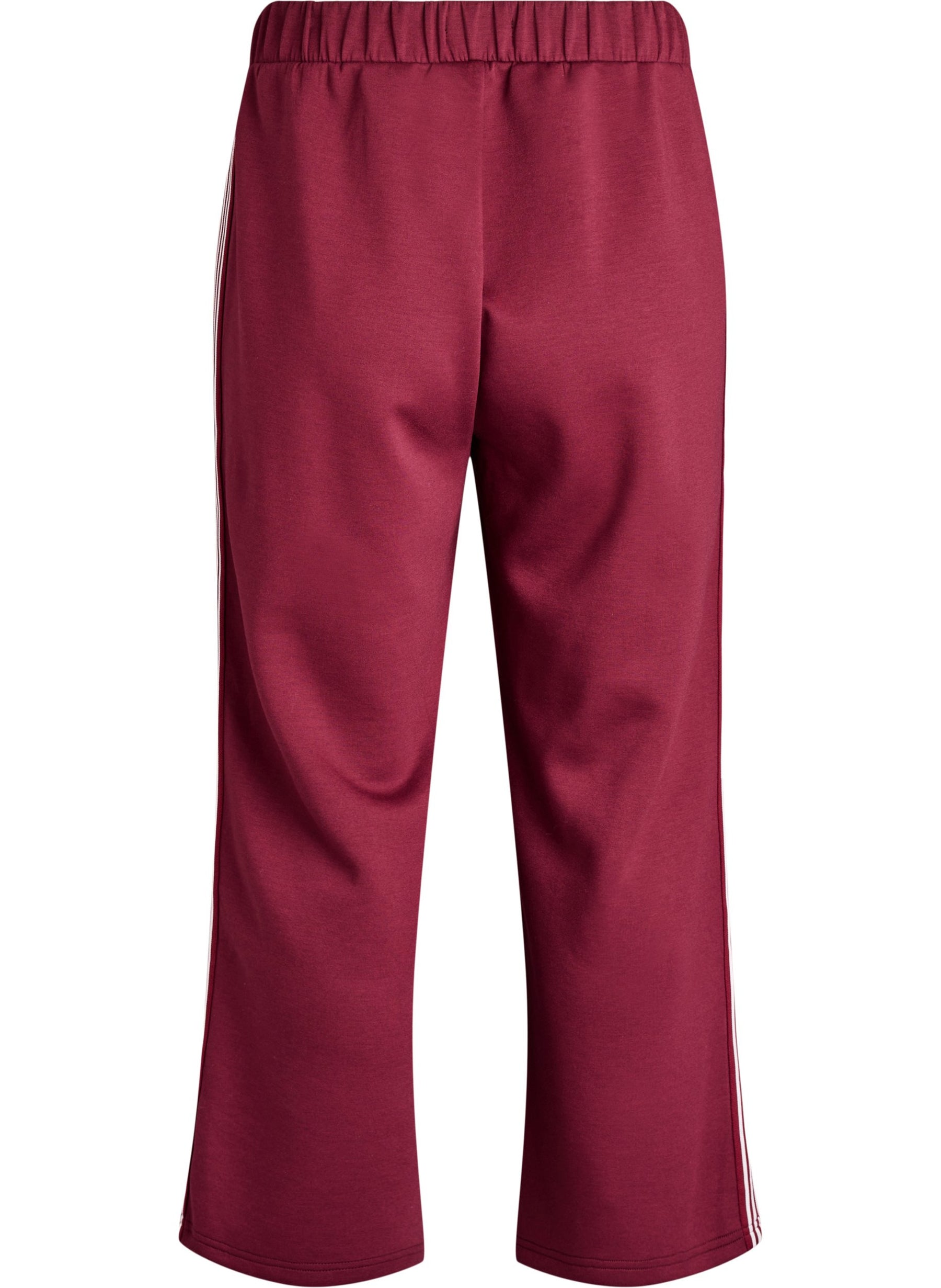 Zizzi Cleo Trouser in Burgundy