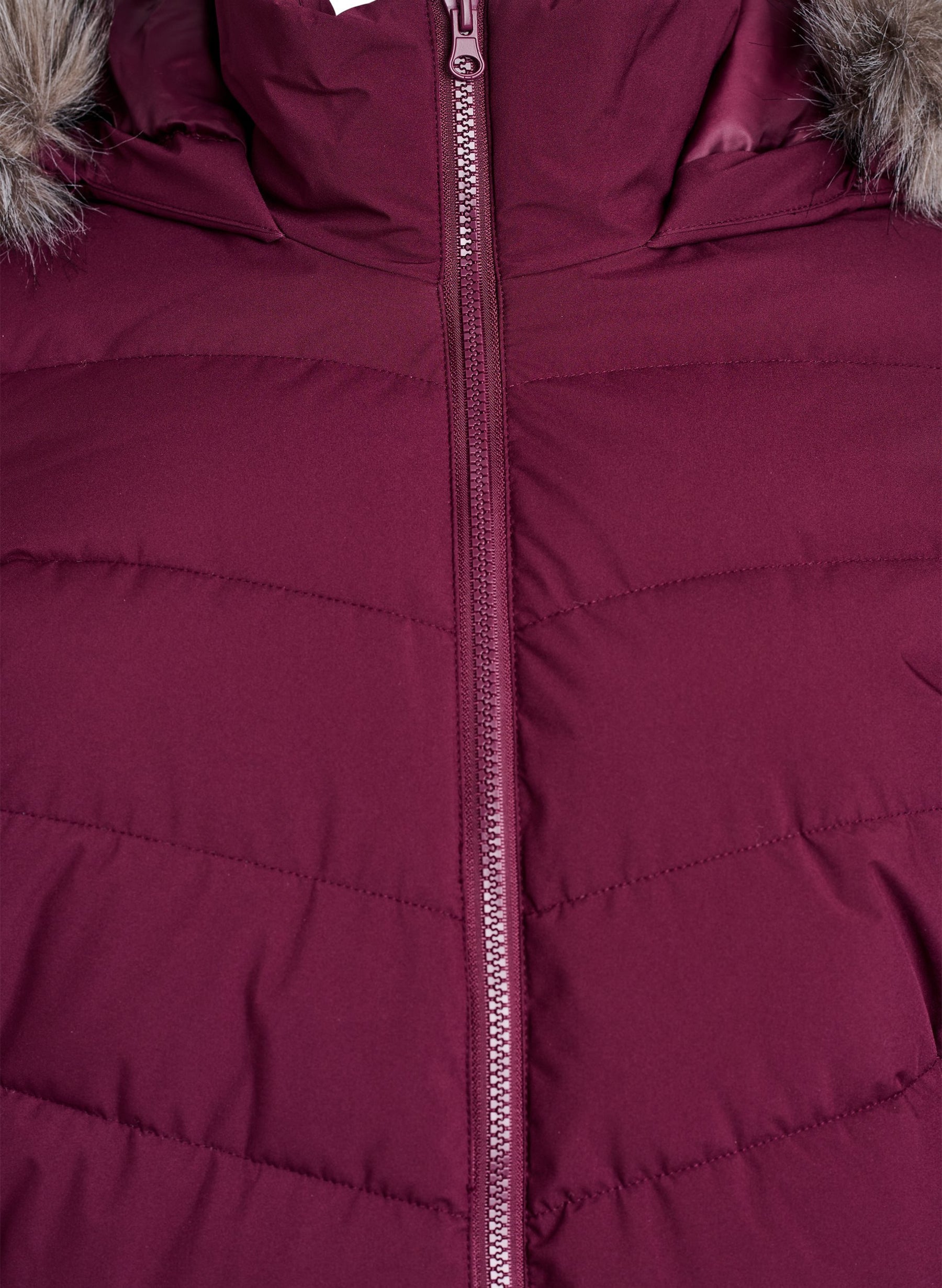 Zizzi Julia Jacket in Wine