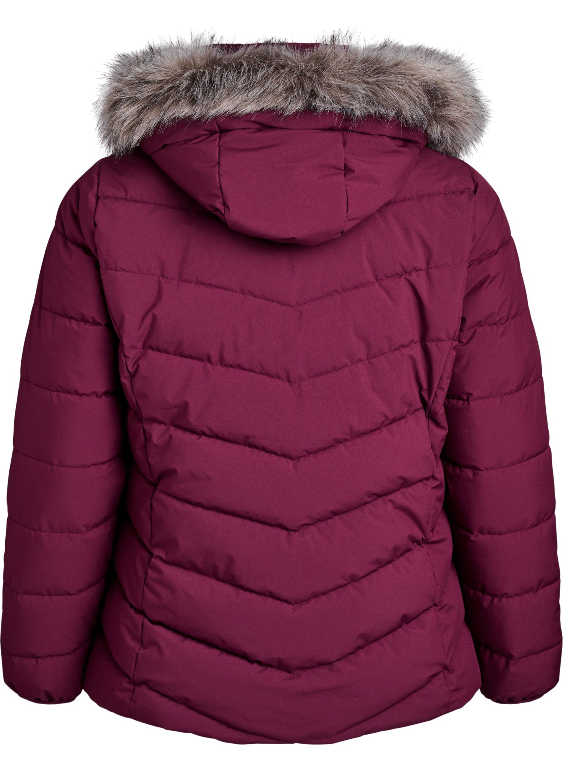 Zizzi Julia Jacket in Wine