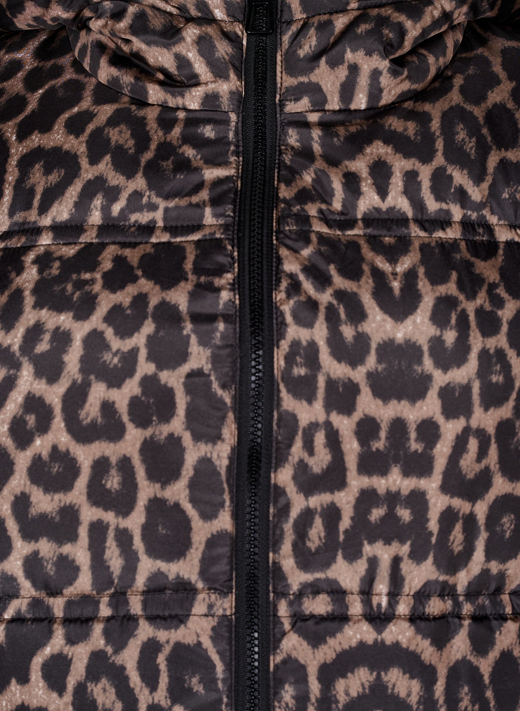 Zizzi Lea Jacket in Leopard Print