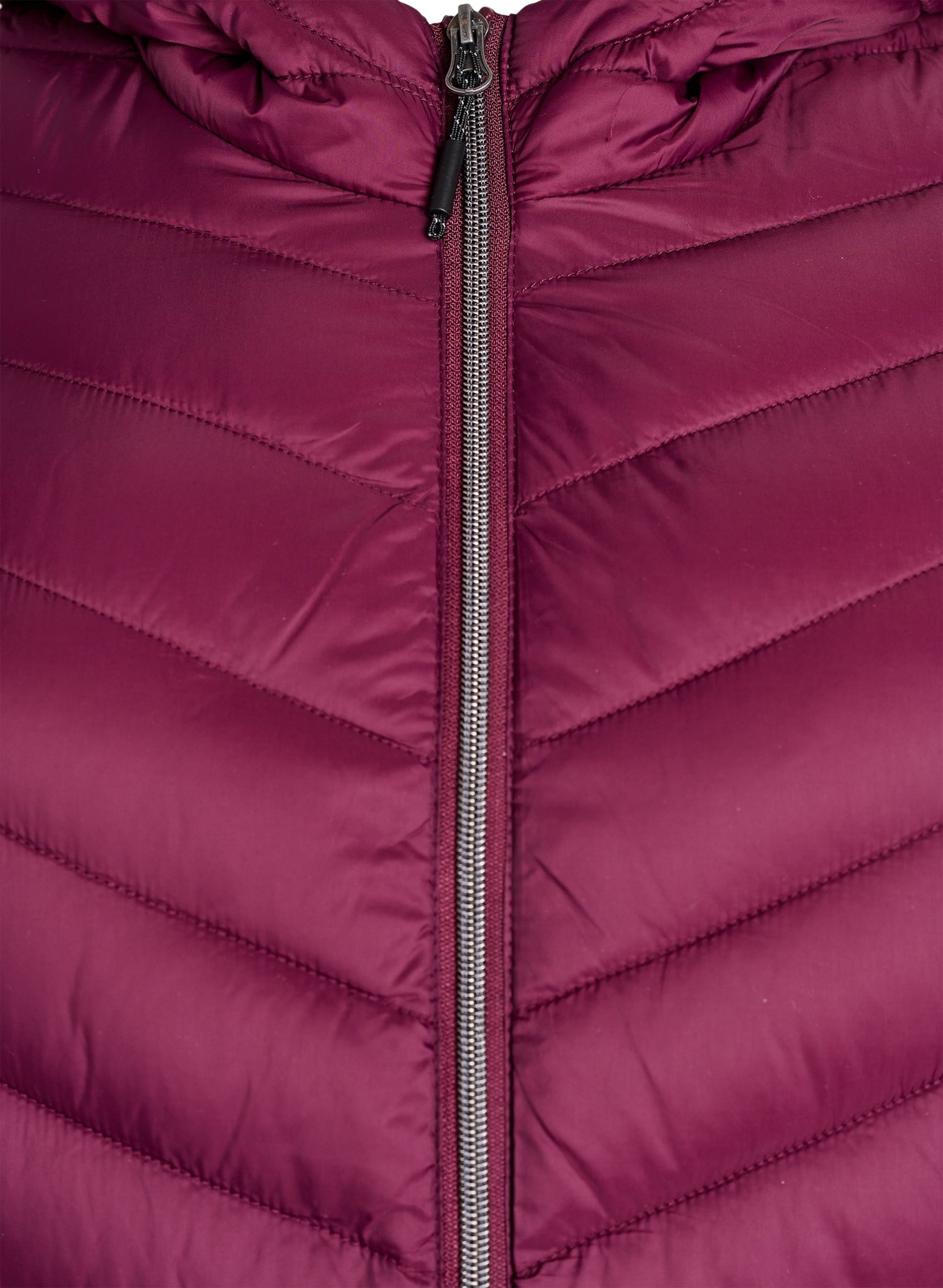 Zizzi Sally Lightweight Jacket in Fig 