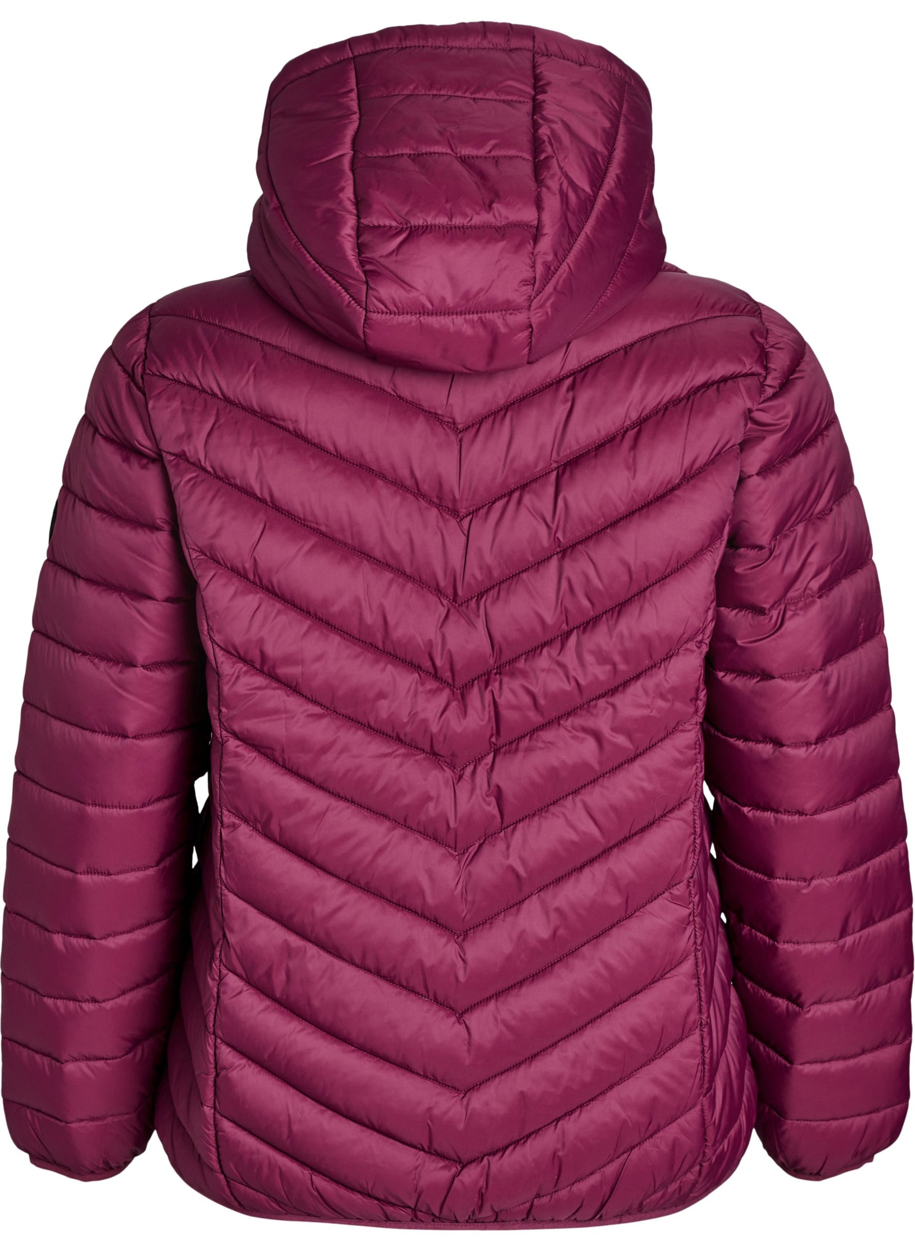 Zizzi Sally Lightweight Jacket in Fig 