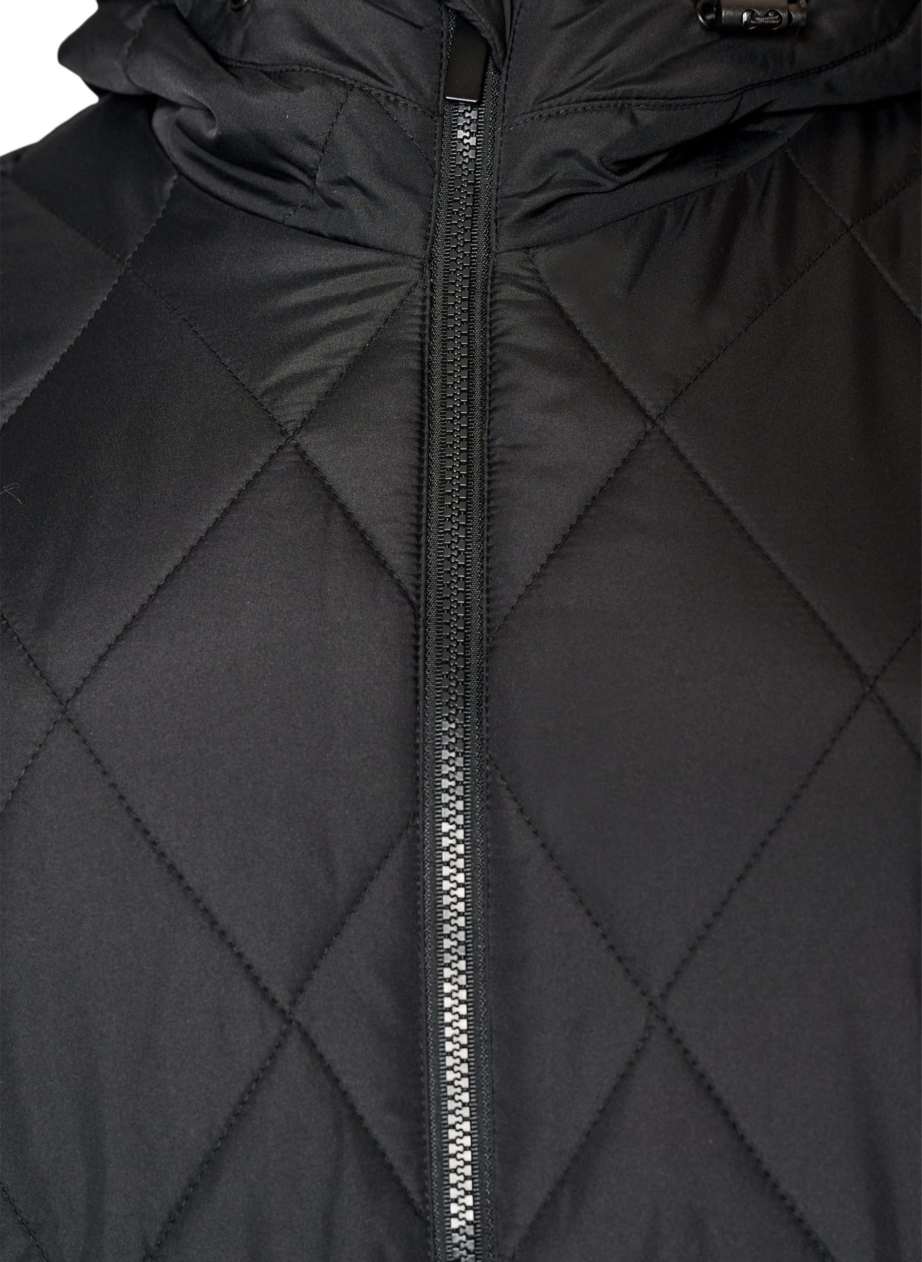 Zizzi Shanghai Jacket in Black 