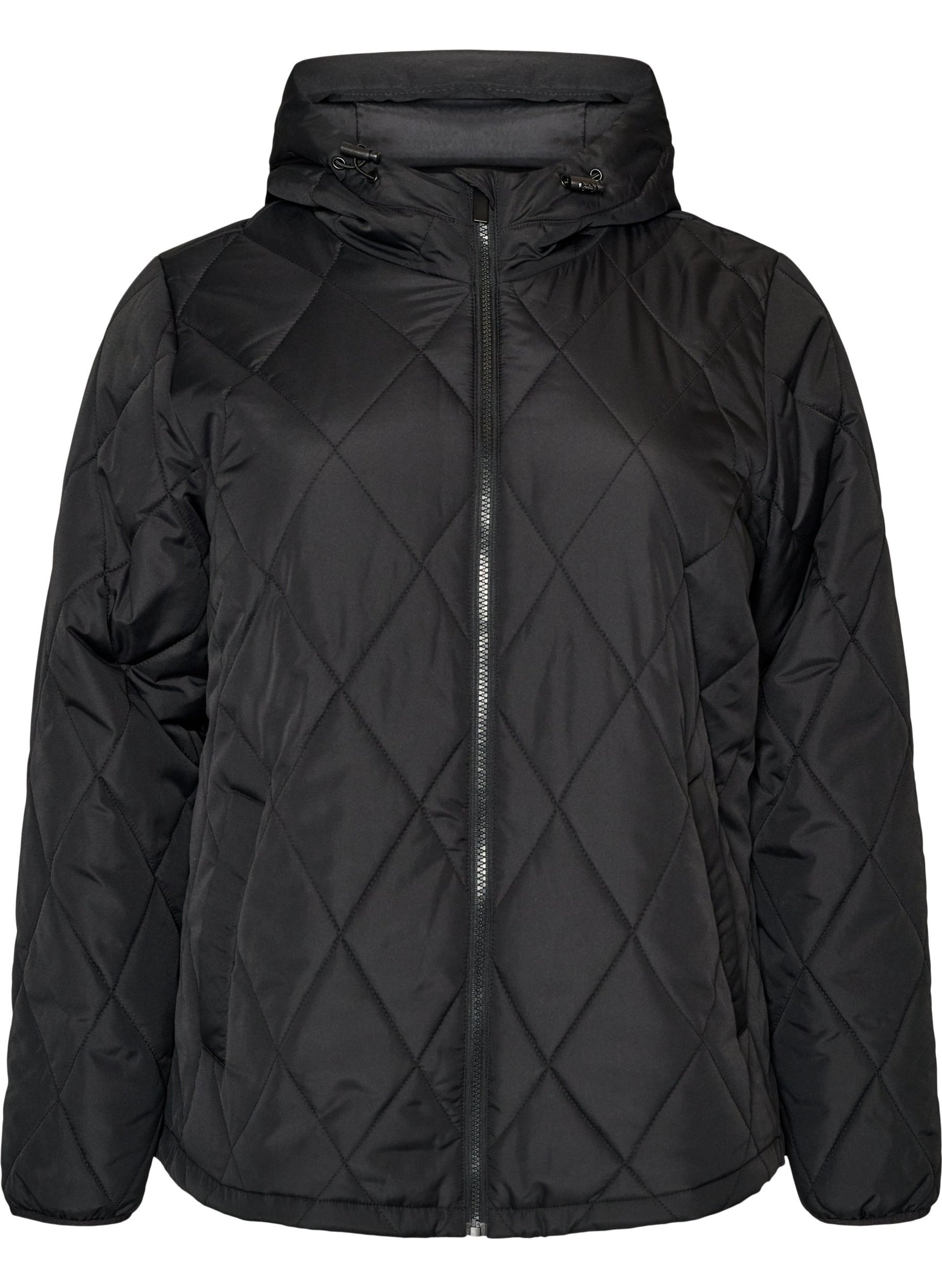 Zizzi Shanghai Jacket in Black 
