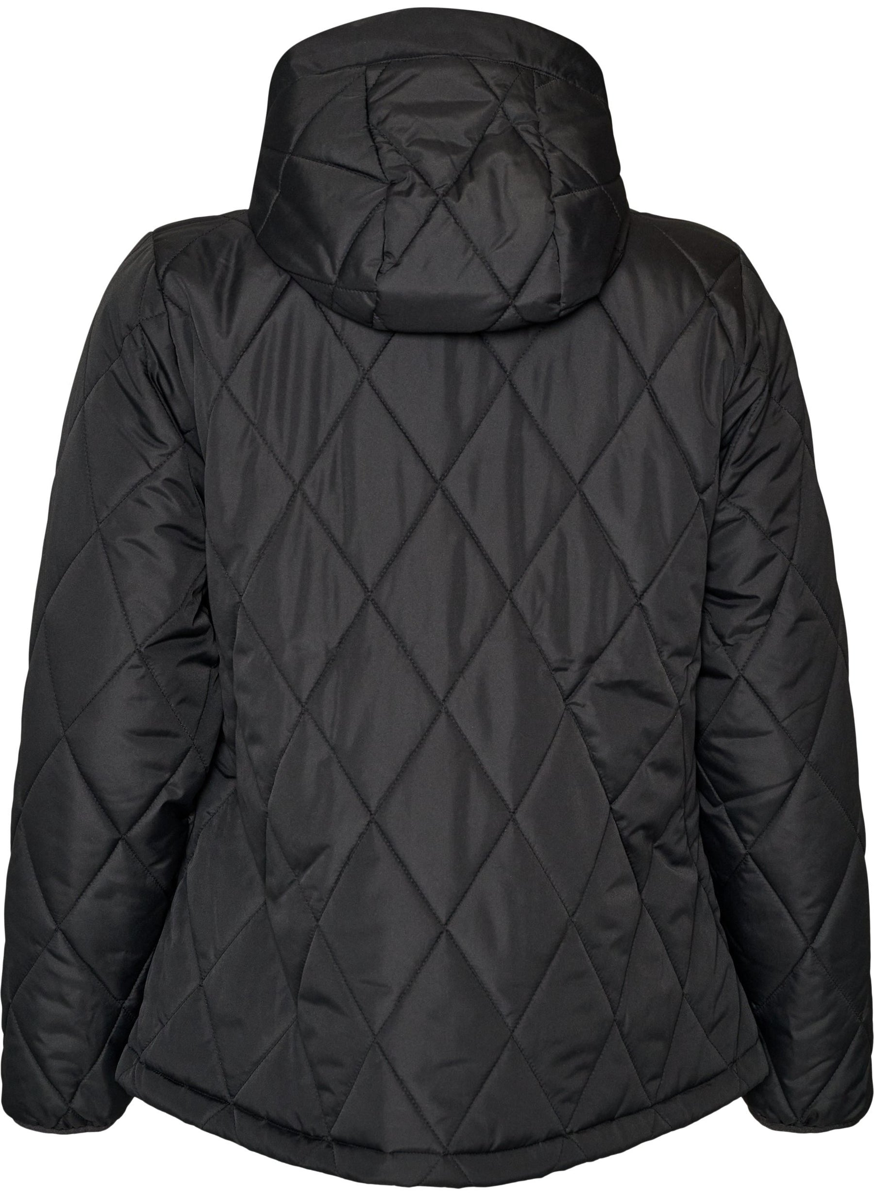 Zizzi Shanghai Jacket in Black 