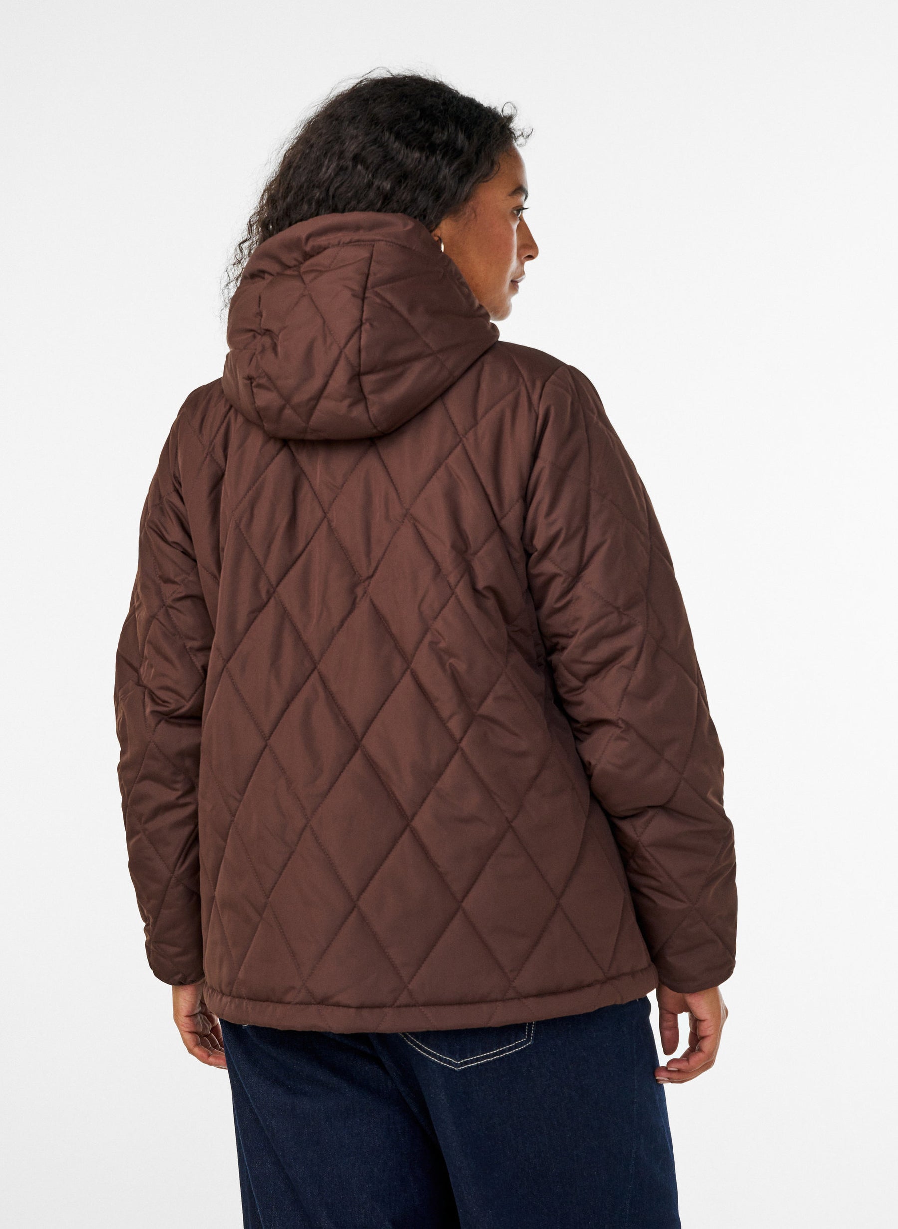 Zizzi Shanghai Jacket in Coffee Bean 