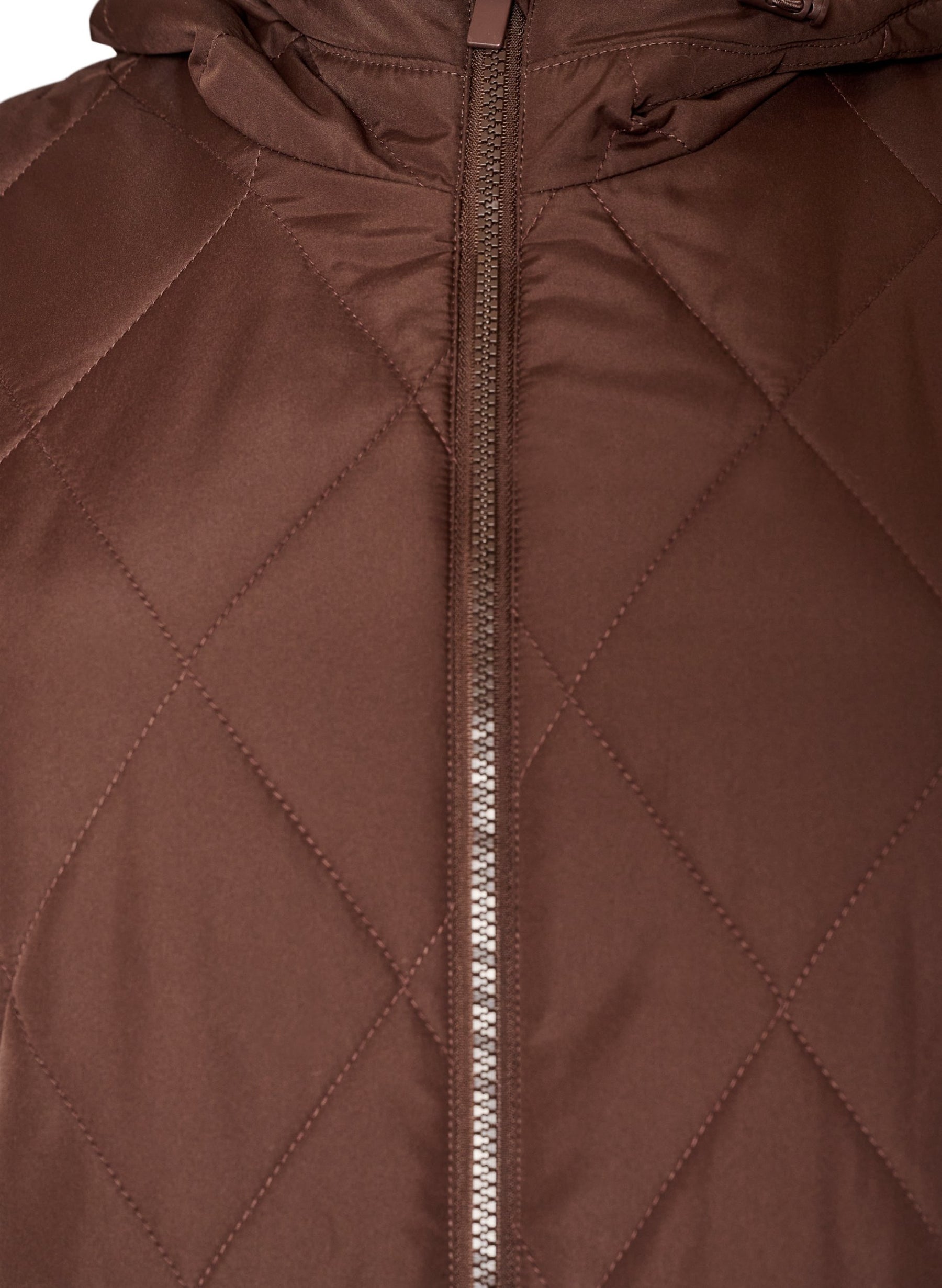 Zizzi Shanghai Jacket in Coffee Bean 
