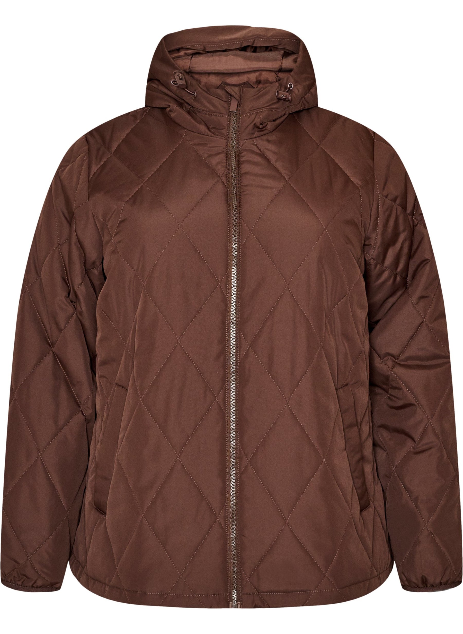 Zizzi Shanghai Jacket in Coffee Bean 