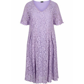 Zizzi Ann Lace Dress in Purple - Wardrobe Plus